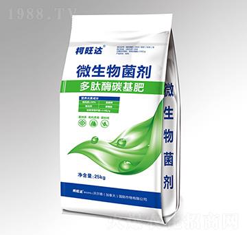 ����ø̼����-�����_-