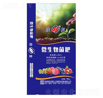 5�|΢�������-ꃻ�