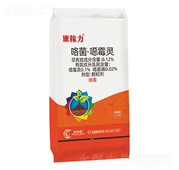 ���������ڲ���-������-����ɭ