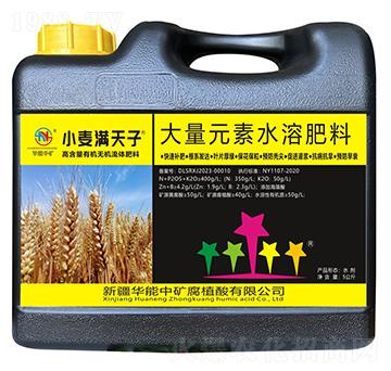 С���M����-�A���еV