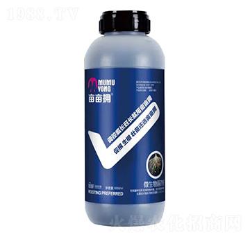 ΢�������-������-�^�ȴ���-��������