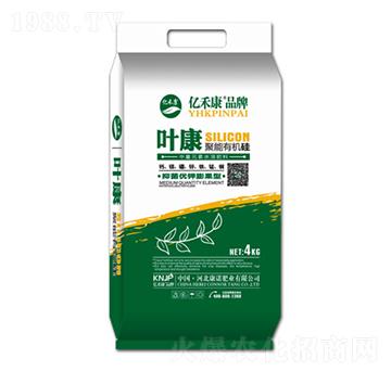 �����ЙC��-�~��-���Z�ʘI(y��)