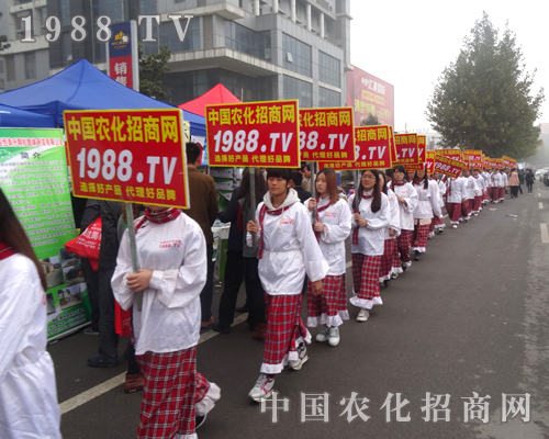 �_��2014ɽ�|����ֲ����