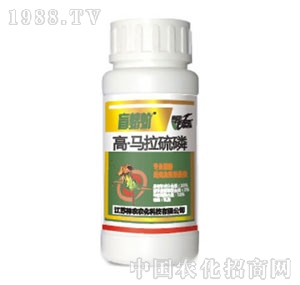 ���r�r��-ä�����R������