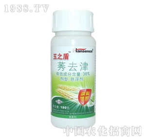 ���-��֮��