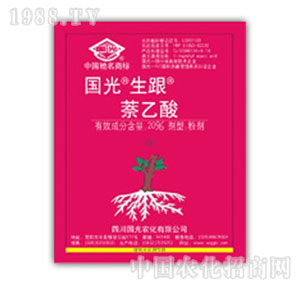 ��(gu��)��-����