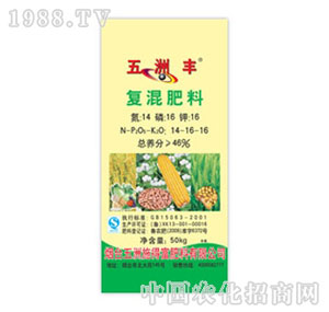 �����S-46%��(f��)�����