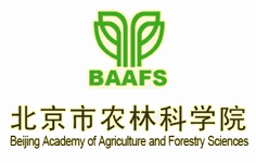 �������r�ֿƌWԺ